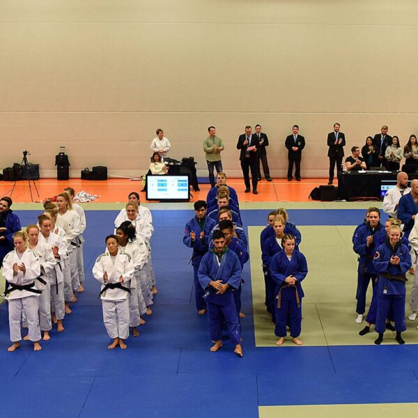 Tävlande står uppställda på judomattan i rader i sina lag.