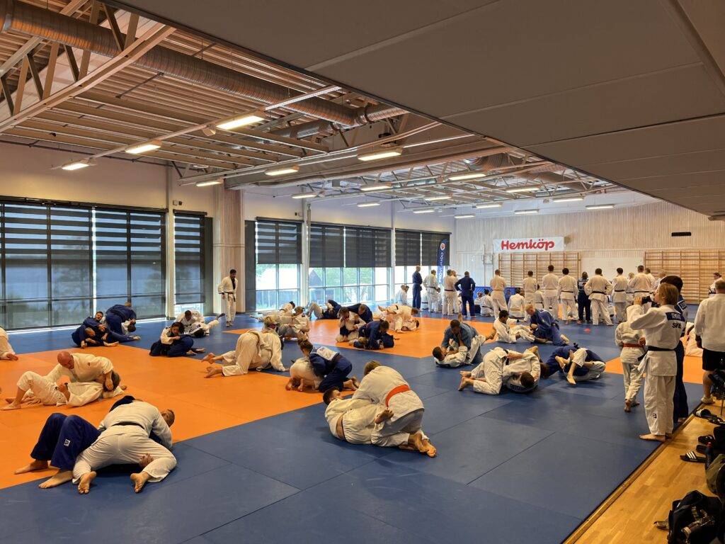 Deltagare tränar newaza (brottning på judomattan).
